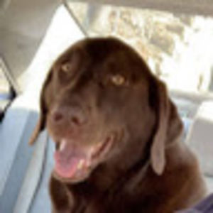 Meet your Posher, Aidan